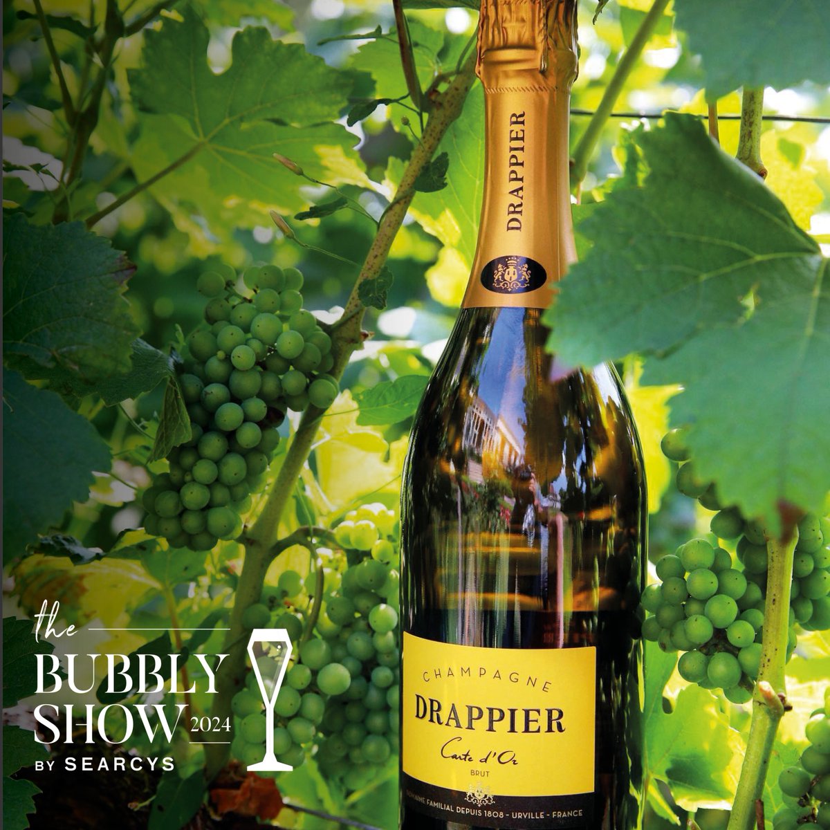 Searcys is proud to welcome Champagne Drappier and @BerkmannWine as partners at The Bubbly Show 2024 🥂 Join us on Friday 26th - 27th April at @10_11CHT for our two-day extravaganza celebrating all things fizz. Get your tickets here: bit.ly/3KOqpNJ