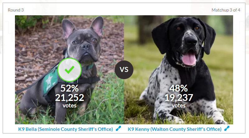 Great job, SCPS family! K9 Bella from @SeminoleSO is in the third round of the top dog competition. Help her advance to the FINAL FOUR in Florida. K9 Bella serves Woodlands Elementary and does so much for our students and staff. showcase.votion.co/bracket/d3133d…