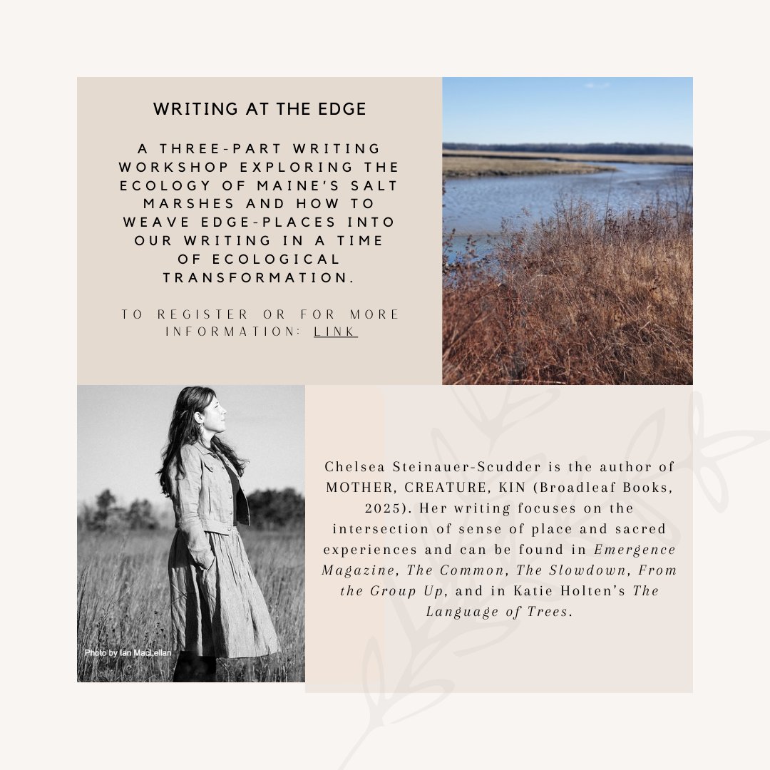 Chelsea Steinauer-Scudder tweet media