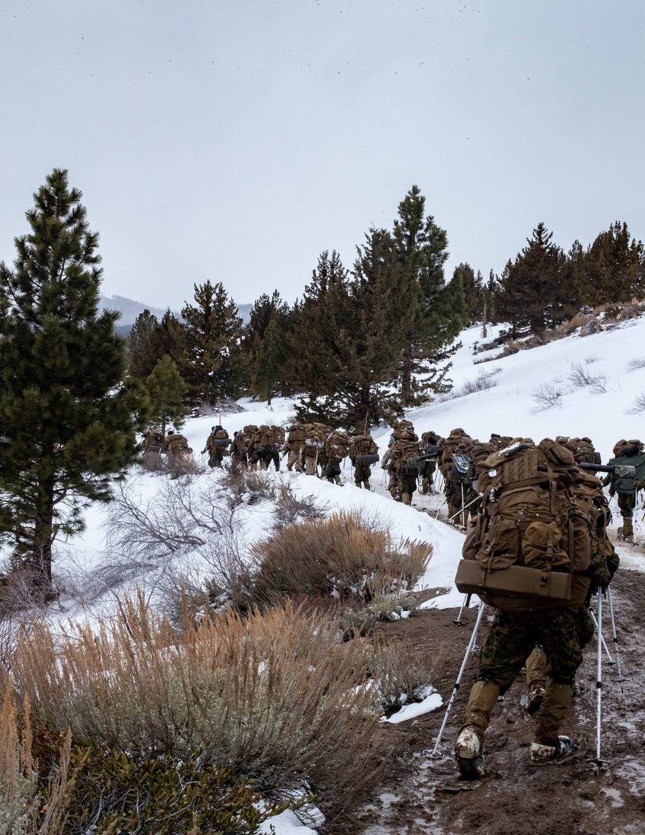 Gone on a Nature Hike 🗻 #Marines w/ @36Marines, @2dMarDiv conduct an 8 km hike during Mountain Warfare Training Exercise 3-24. MTX preps units to survive & conduct operations in mountainous & cold weather environments. @USMC📷 Lance Cpl. Vazquez #MarineCombatArms #EveryClime