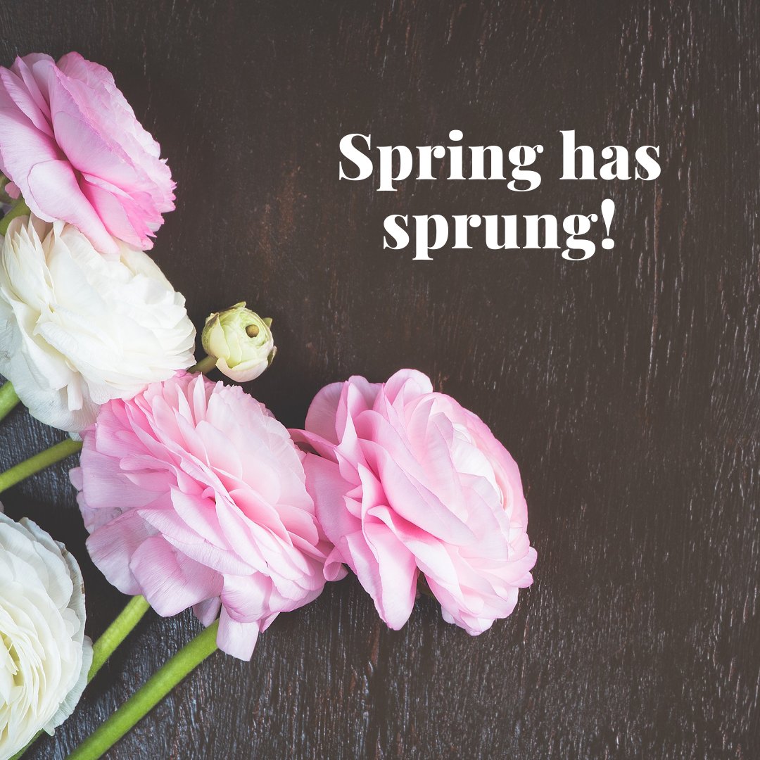 🌼 Spring has Sprung! 🌼 Feeling the effects of spring on your asthma? 🤧 Stay tuned for tips on managing your symptoms during this beautiful, but challenging season. 🌷💨 Let's enjoy spring to the fullest without worries. 💙 #AsthmaAwareness #SpringTimeTips #WeAreCommunity#