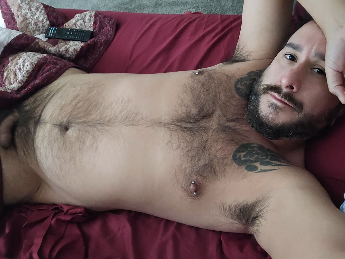 Texasbear841's tweet photo. It's lazy Thursday! Need me a cuddle buddy. Taking applications! Lol https://t.co/TEiC8425Ia