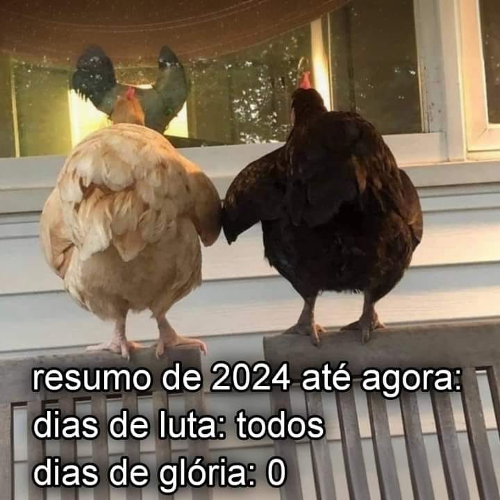 paginalixo1's tweet image. 