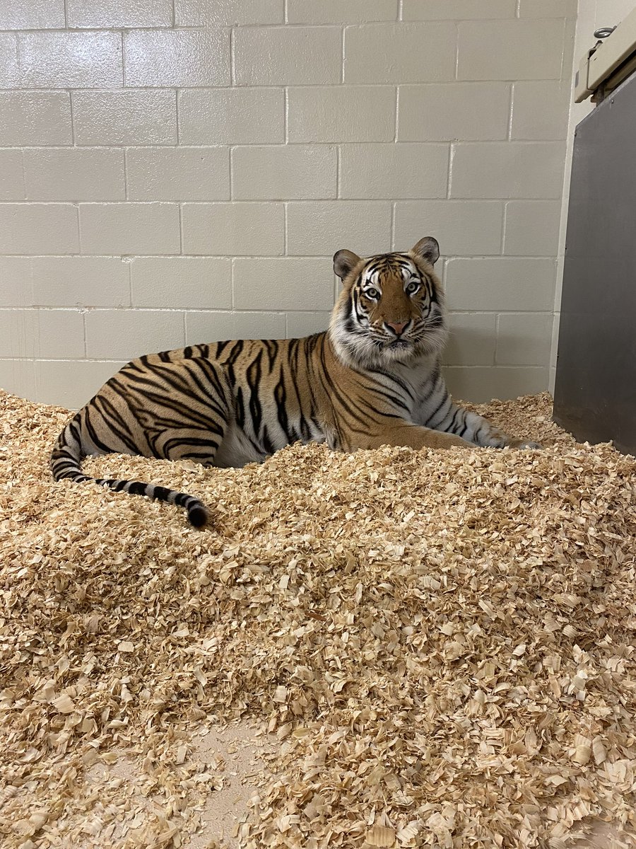 Hanging out inside until yard work is done