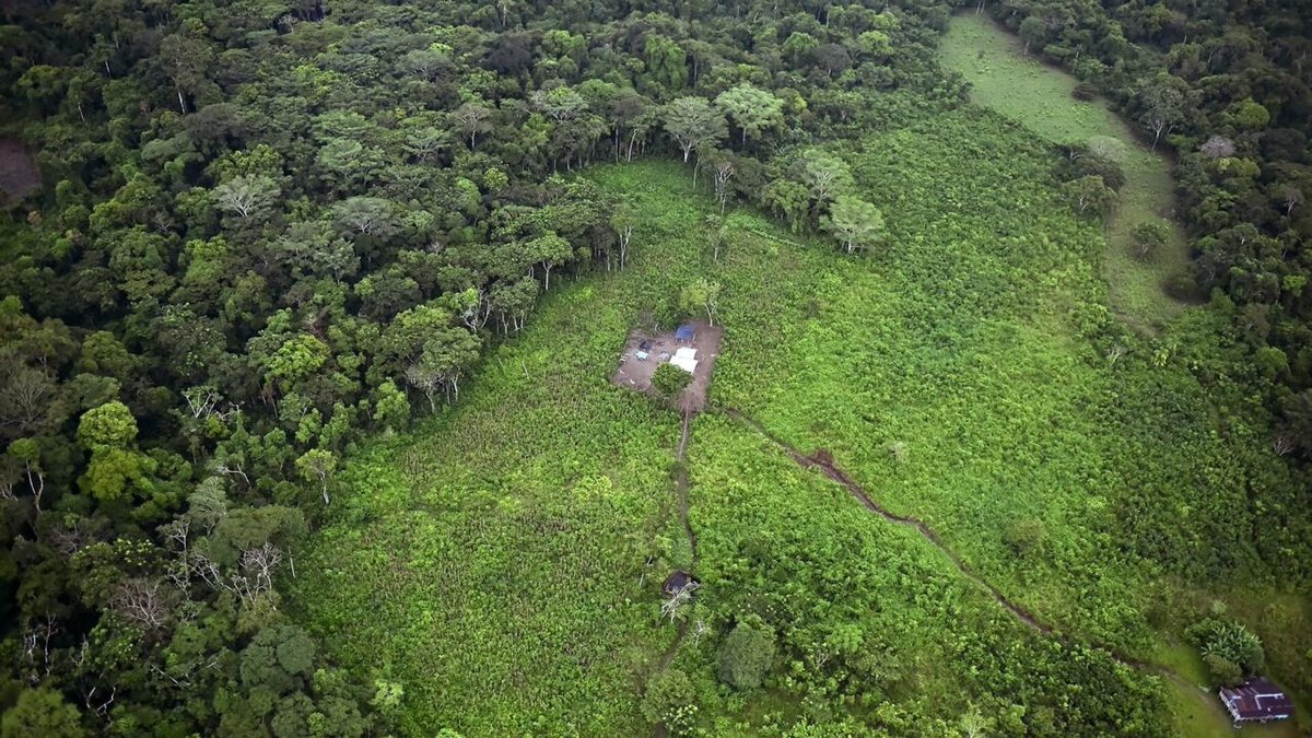 La deforestación mundial se mantiene ‘obstinadamente’ alta pese a progresos de Brasil rfi.my/AUJa.x