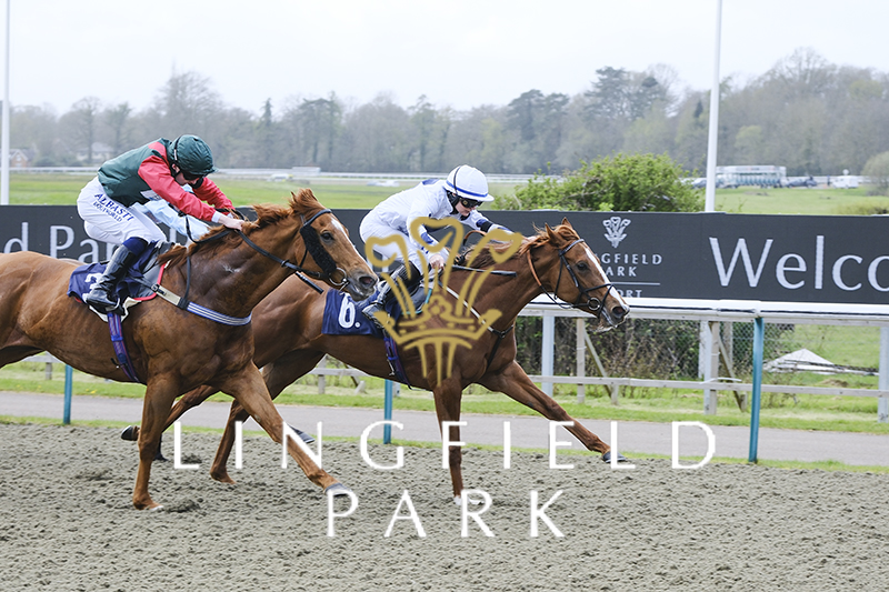 Lingfield Park (@lingfieldpark) on Twitter photo RACE 1 WINNER - Download The <a href="/Raceday_Ready/">Raceday_Ready</a> App Apprentice Handicap
Jungle Charm 🏆
Jockey: <a href="/laura_coughlan/">Laura Coughlan</a>
Trainer: <a href="/Archie_Watson/">Archie Watson Racing</a>
Owner: Mr Salem Rashid Bin Ghadayer
#LingfieldPark RACE 1 WINNER - Download The <a href="/Raceday_Ready/">Raceday_Ready</a> App Apprentice Handicap
Jungle Charm 🏆
Jockey: <a href="/laura_coughlan/">Laura Coughlan</a>
Trainer: <a href="/Archie_Watson/">Archie Watson Racing</a>
Owner: Mr Salem Rashid Bin Ghadayer
#LingfieldPark
