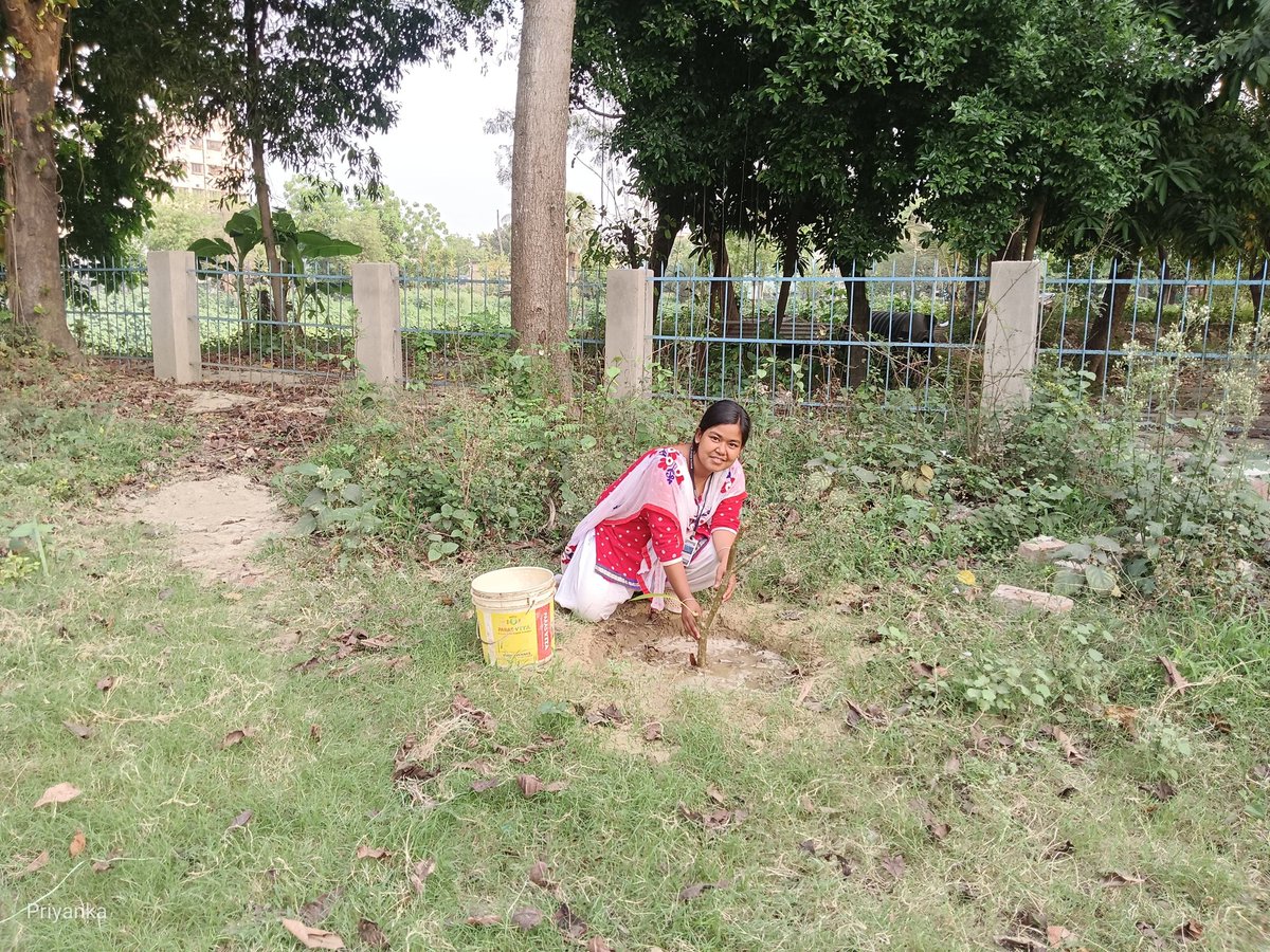 MaldaNss's tweet photo. Volunteer Shreyoshi Roy and Priyanka Sarkar Planted tree on their birthday
@rdnss_kolkata @YASMinistry @_NSSIndia #BirthdayTree https://t.co/nD8L6yOZ13