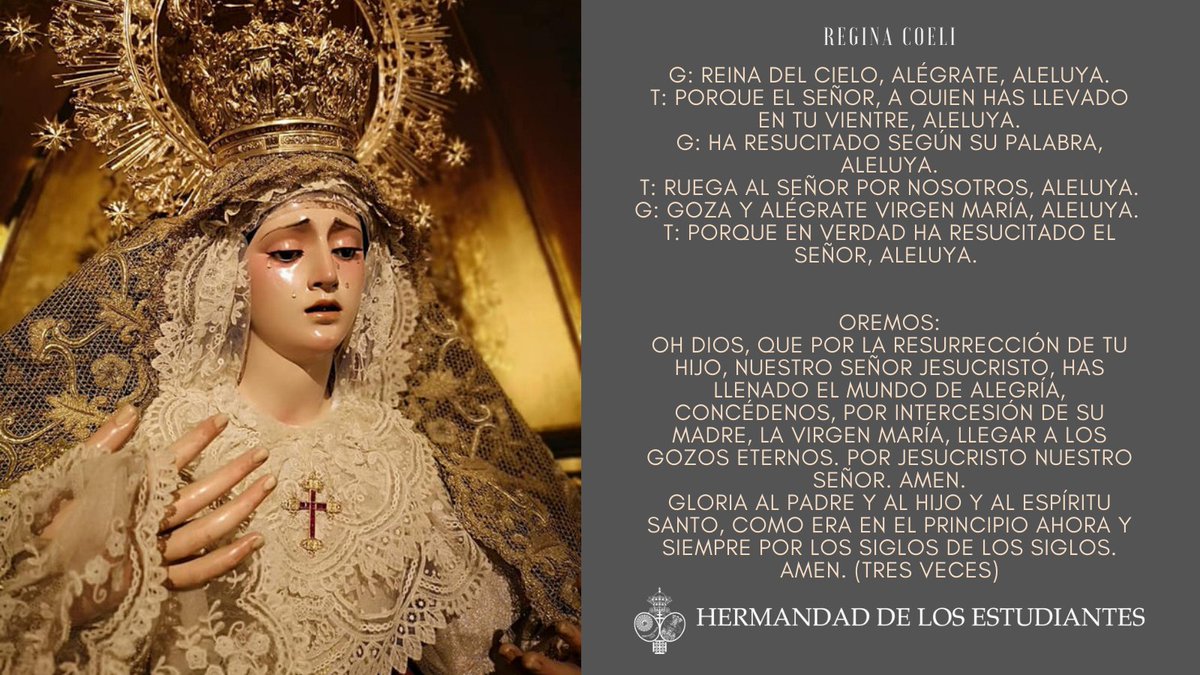 REGINA COELI | Felicitamos a la Virgen María por la resurrección de su Hijo Jesucristo.