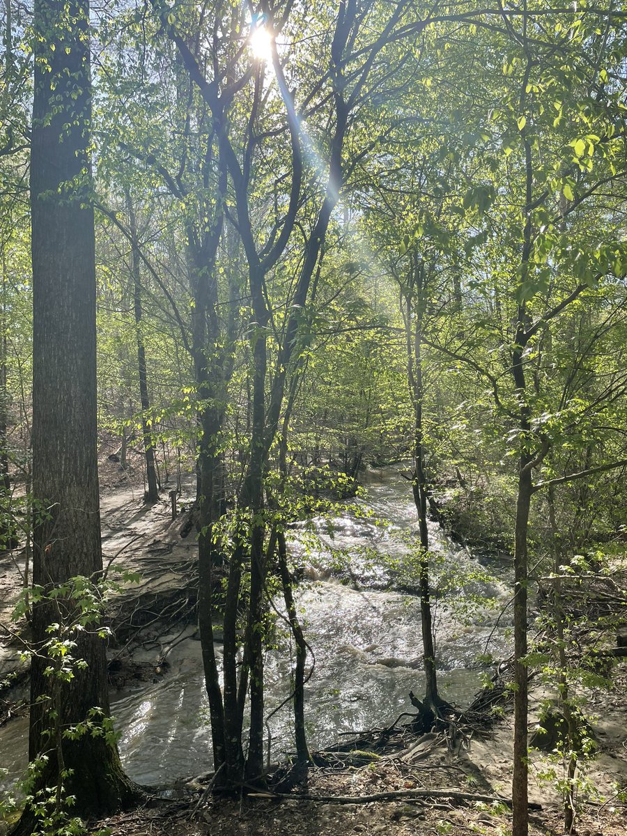 LumenLiterature's tweet photo. In nature, God has painted a masterpiece of beauty all around us! https://t.co/ducGohEXjQ
