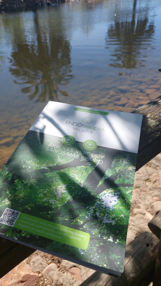 Lo bonito es cuidar tu entorno
🌳💚

#arbolesverdesysanosmastiempo
#endoterapia #endoterapiavegetal
#inyeccionaltronco #enfermedades
#controldeplagas
#sanidadvegetal