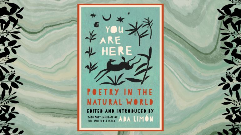 Choose your own adventure with these 6 poems about the natural world curated by Poet Laureate @adalimon. orionmagazine.org/article/you-ar…