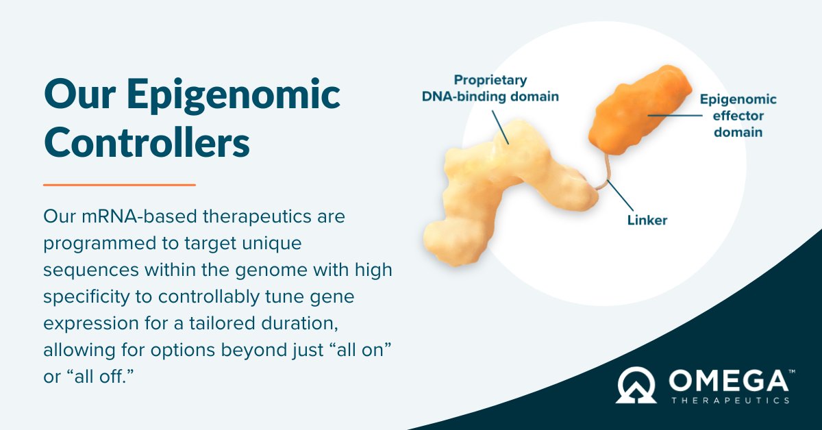OmegaTX's tweet photo. Have you ever wondered how our #EpigenomicControllers work? Our approach preserves native nucleic acid sequences, which may eliminate safety concerns associated with other treatment modalities that modify the genome. Learn more here: https://t.co/CbEh2elEXu https://t.co/aFQm2gnqGL