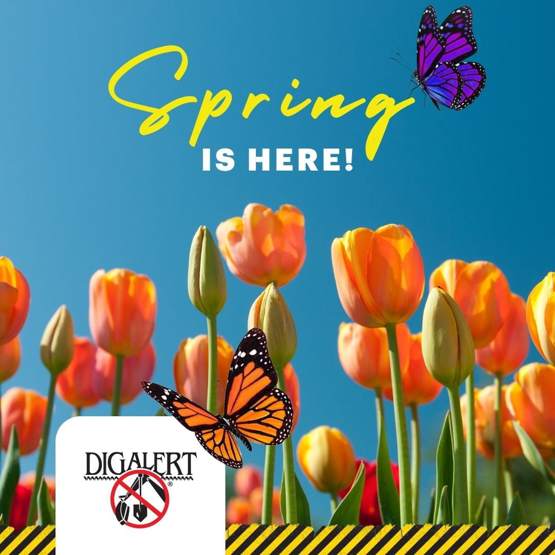 DigAlert's tweet photo. Spring is here, and it would be the bee's knees to contact DigAlert® before you dig! It’s also the LAW!
Contact DigAlert® before you dig to avoid underground surprises and keep your project on track.
Get your FREE ticket: https://t.co/ng27kBbDWR
#DigSafe #SpringProjects https://t.co/P90InDnlbk