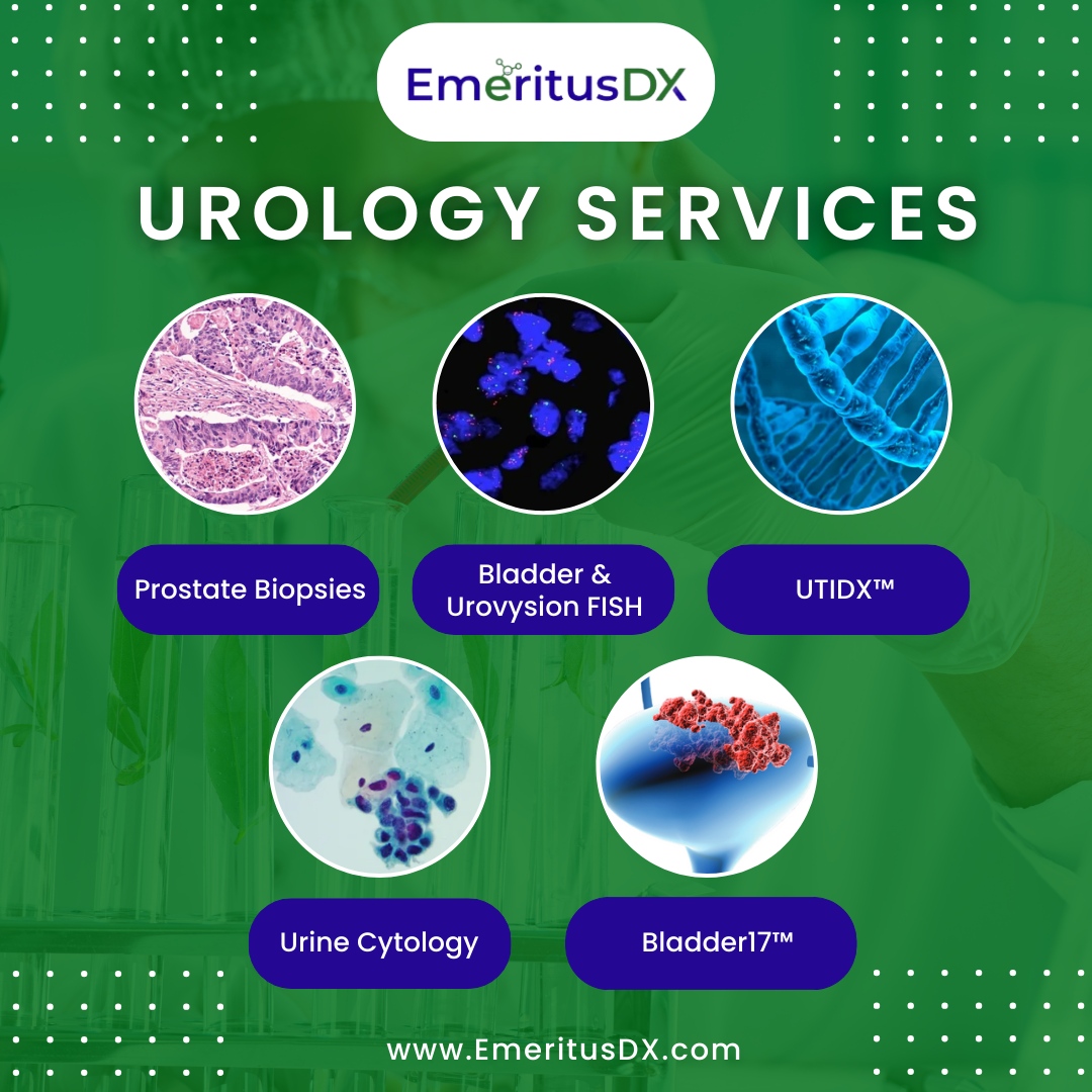 Experience Comprehensive Urology Solutions with EmeritusDX.

Our range of services ensures thorough assessment for every patient, empowering proactive management of urological health.

#gilabtesting #healthtech #diagnosticexcellence #urologyservices