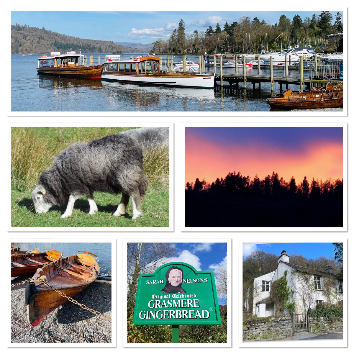 The Rocking Felter tweet media