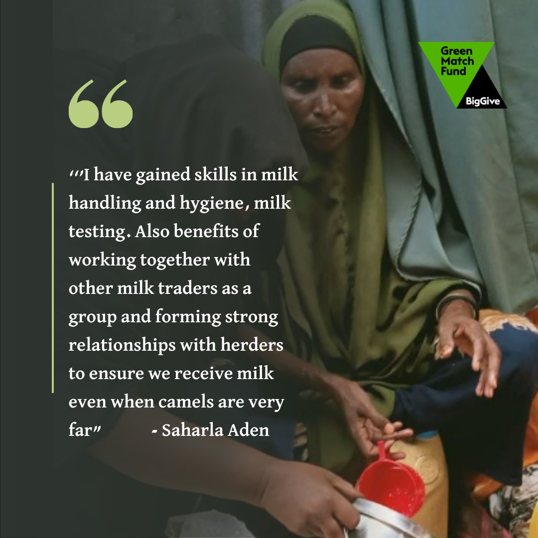 Join us in empowering 5,000 women in camel milk trading, From  the 18th to the 25th  of April, Every donation made during this time will be doubled, amplifying your impact!  🌱GREEN MATCH

donate.biggive.org/campaign/a0569…