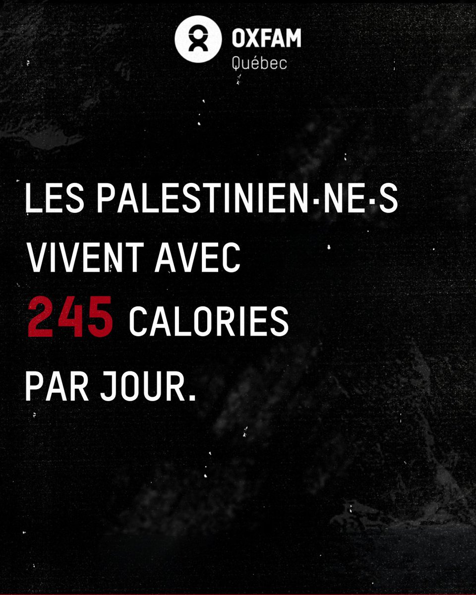 🚨 #GAZA | Depuis janvier, les Gazaouis sont contraints de survivre avec 245 calories par jour, soit deux larges bananes, alors qu'il faut en moyenne à une personne adulte 2 100 calories par jour. Notre dernier communiqué 👉 tinyurl.com/2evetmsp #CessezLeFeu #ceasefire