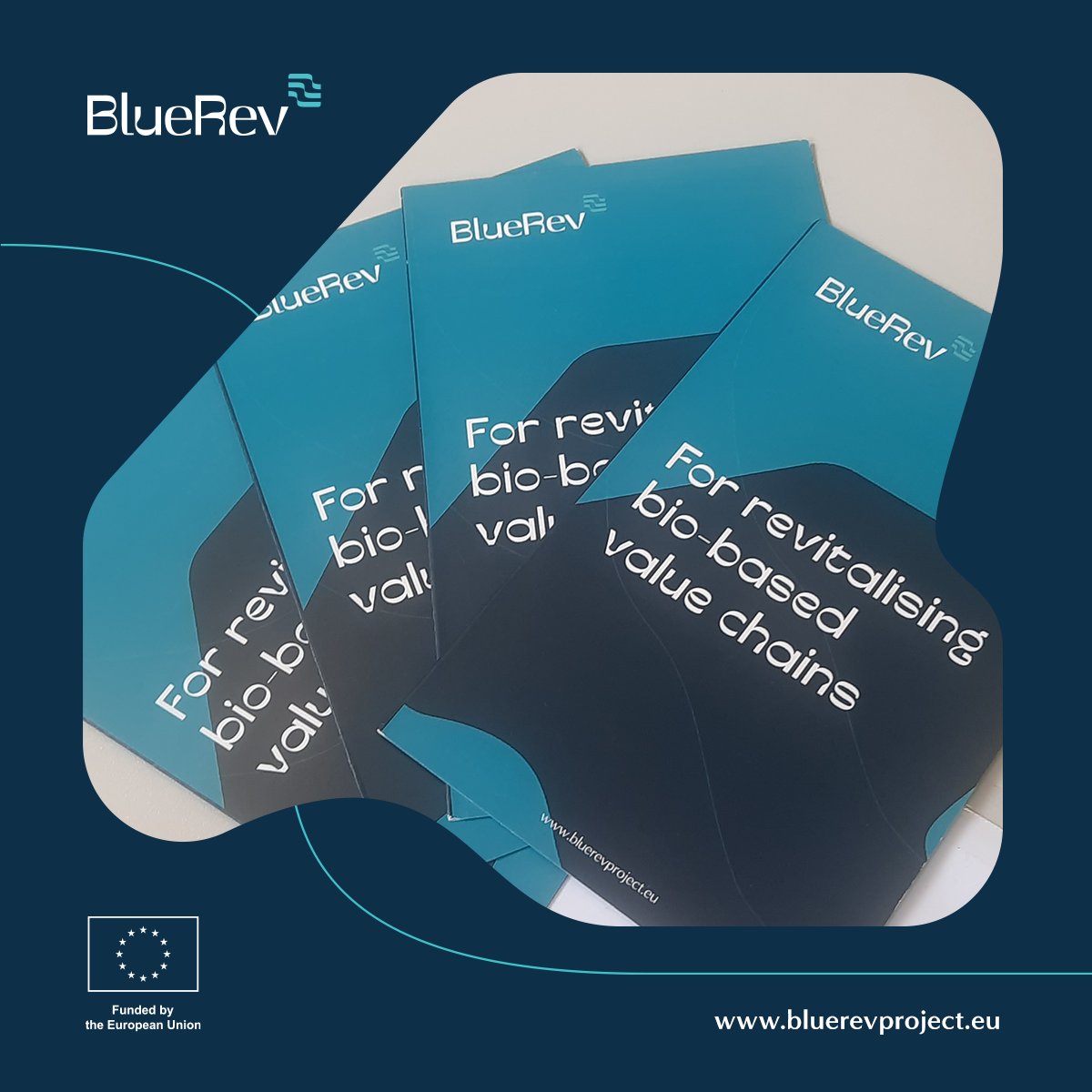 🔄♻️ Unveiling the potential of circular economy through the innovative @BlueRevEU, presented by @unipa_it at the Algaefarm/Novelfarm international expo in Pordenone, Italy. 🇮🇹

Dive into a future where sustainability and aquaculture thrive together! 🐠🌎