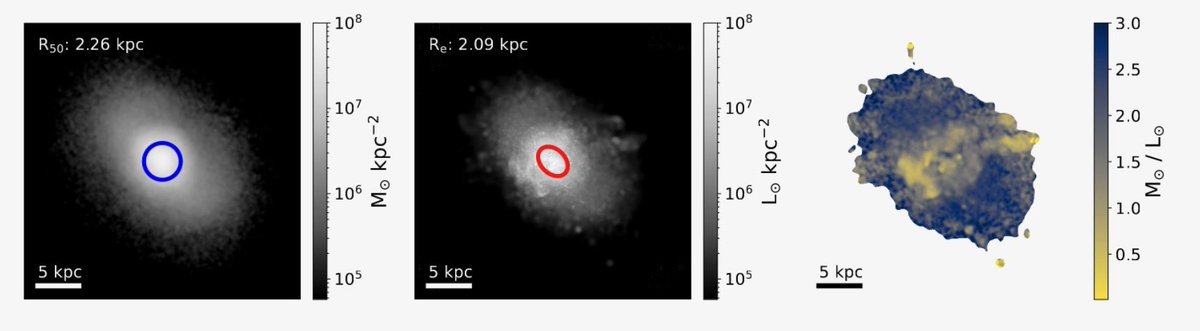 James Bullock (@jbprime) on Twitter photo Proud of this new paper led by <a href="/UCIPhysAstro/">UCI Physics & Astro</a> PhD student <a href="/astro_klein/">Courtney Klein</a> Courtney Klein - compares ‘true’ stellar mass-size relations to those inferred from mock observations w FIRE simulations.
Pic shows mass map, light map & M/L map for example gal (1/3)
arxiv.org/abs/2404.02373 Proud of this new paper led by <a href="/UCIPhysAstro/">UCI Physics & Astro</a> PhD student <a href="/astro_klein/">Courtney Klein</a> Courtney Klein - compares ‘true’ stellar mass-size relations to those inferred from mock observations w FIRE simulations.
Pic shows mass map, light map & M/L map for example gal (1/3)
arxiv.org/abs/2404.02373
