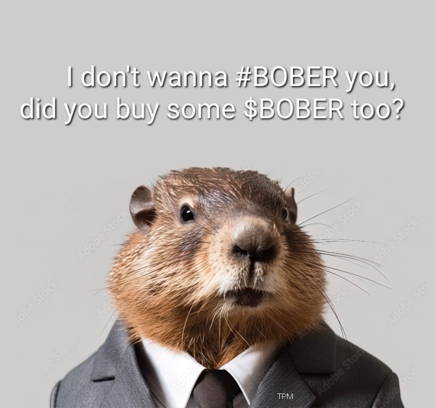 09Tpm's tweet photo. 🦫   I don't wanna #BOBER you, 
did you buy some $BOBER too?    🦫

@BoberversX @BoberonMVX @BoberArmyonMVX @MultiversX #MultiversX @Memevers_X https://t.co/KtFC0dupCm