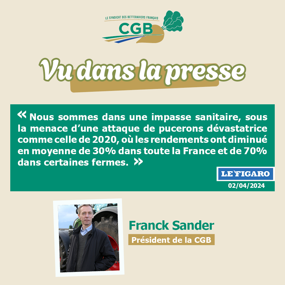 📰Vu dans le @Le_Figaro - @SanderFranck, Président de la CGB, alerte sur le risque jaunisse pour cette année 2024.
