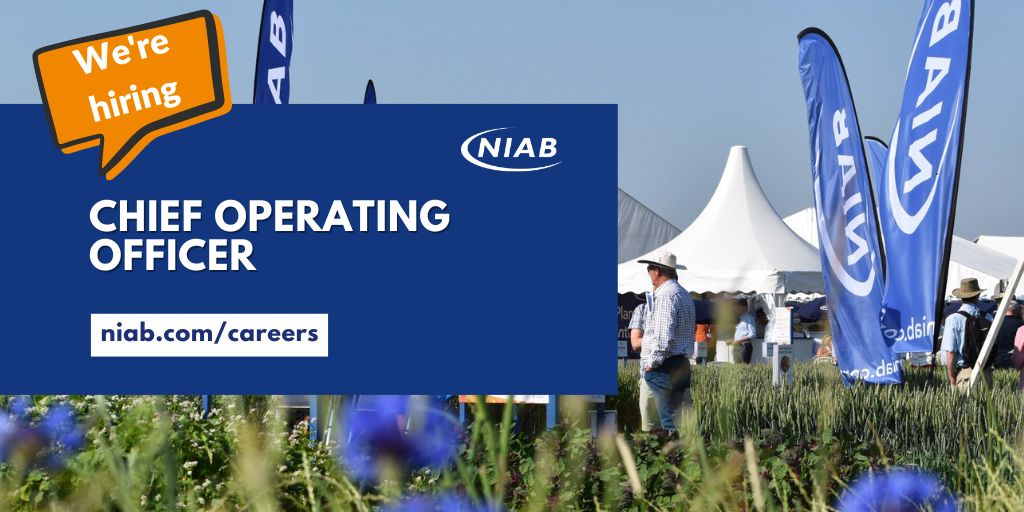 #Vacancy: Chief Operating Officer You will play a pivotal role in shaping the strategic direction of #NIAB. If you're a dynamic leader with a passion for driving organisational excellence and innovation, get in touch today! Full details ➡️ ow.ly/CG1y50R8pTY