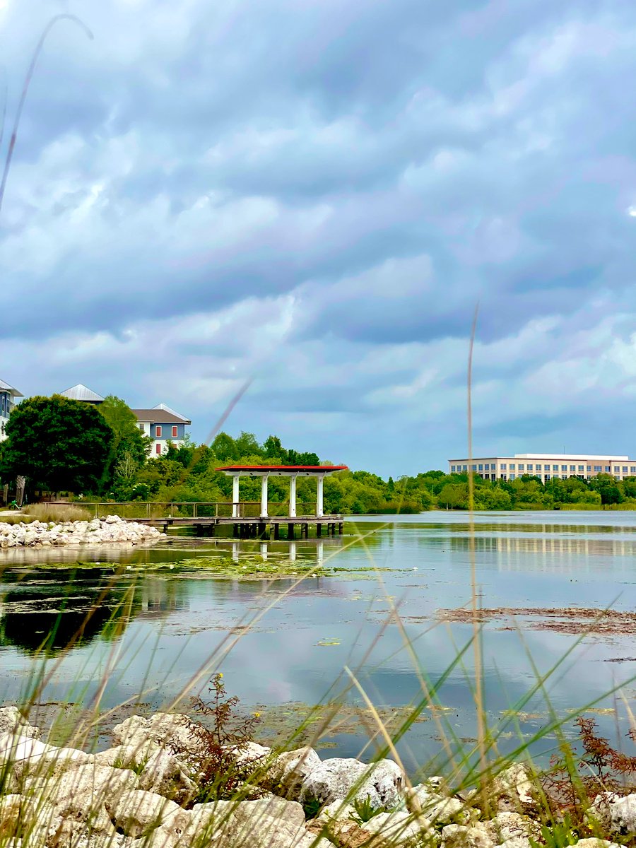 Baldwin Gölü, Orlando #lakebaldwin #orlando