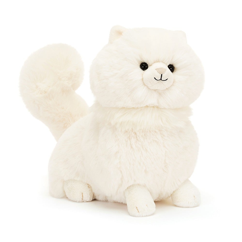 ♡ Carissa Persian Cat