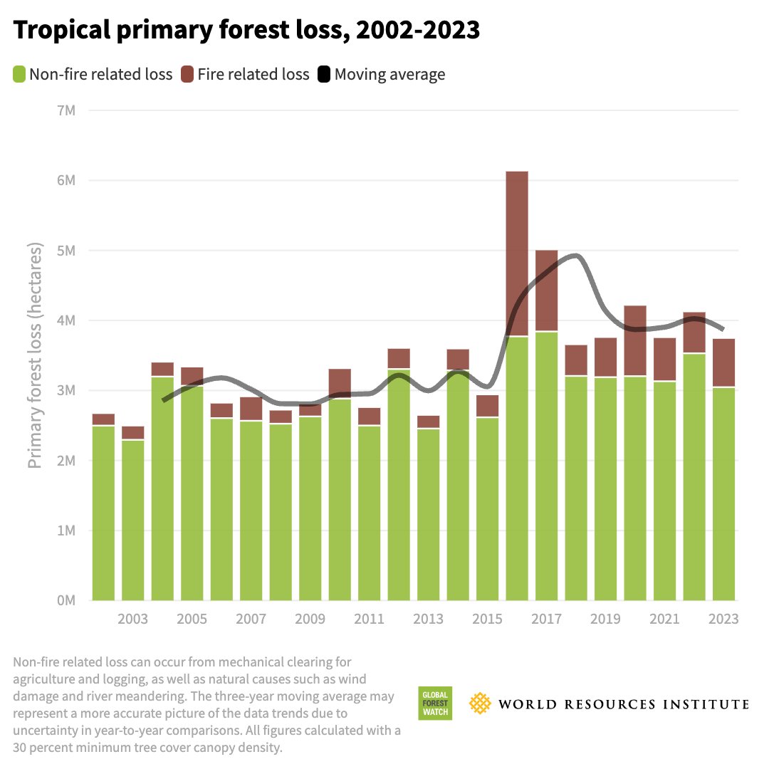 THE DATA IS IN 2023 tree cover loss data from @globalforests shows political leadership and strong policies are working in reducing forest loss🌳 There’s positive news from Brazil and Colombia, but the story is not consistent around the world ➡ gfw.global/3Vxpc4p