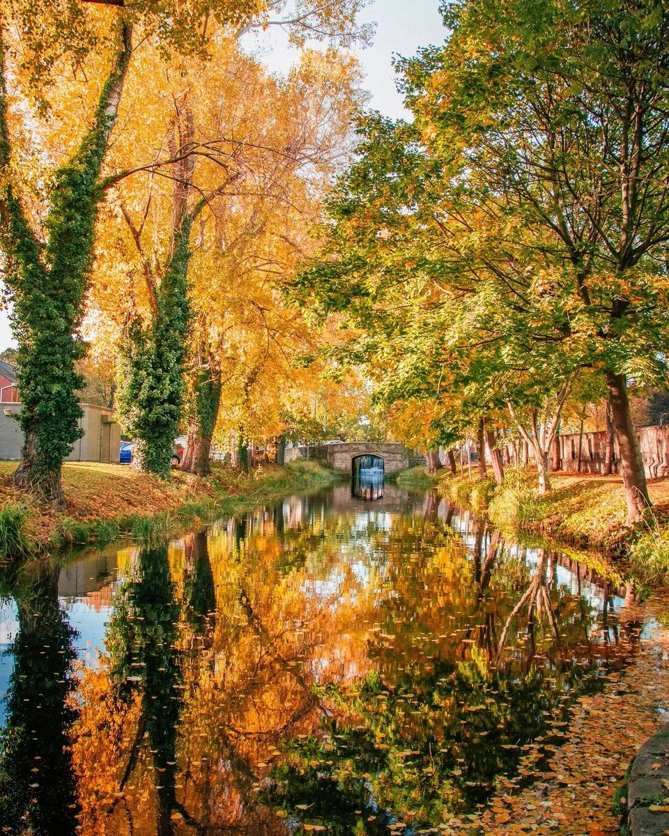 The colours of Dublin💚 Tag someone that you would visit this beautiful city with👇 📍Dublin City 📸instagram.com/marcotamby/ Visit Dublin #FillYourHeartWithIreland #DublinCity #VisitDublin #CityBreak