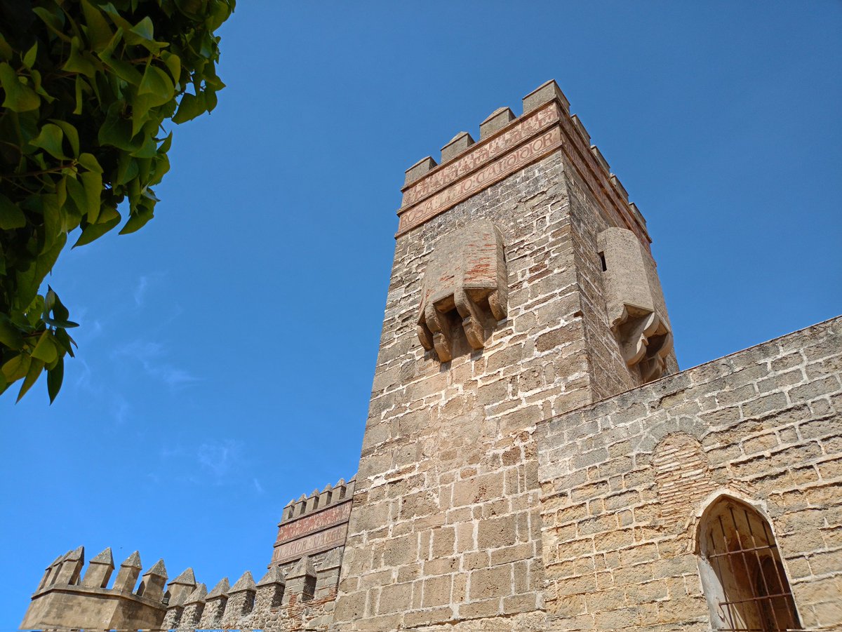 Un año más pudiendo disfrutar de las vistas del Castillo de San Marcos durante los Estudios Alfonsíes 😊