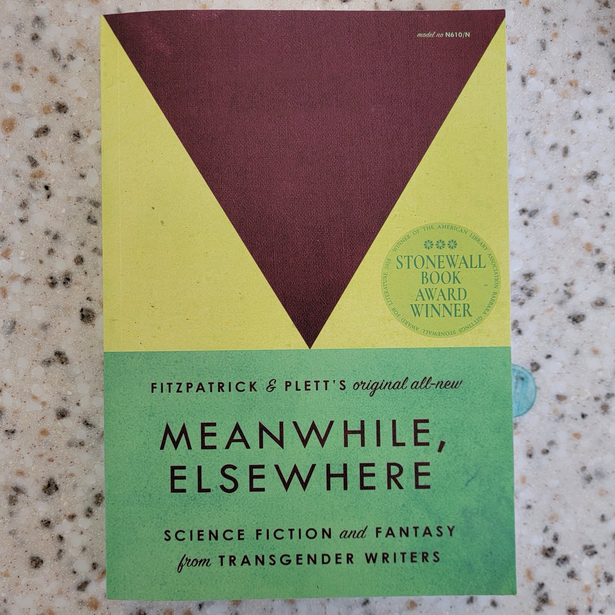 Now available in-store, 'Meanwhile, Elsewhere', edited by the wonderful @intermittentcat and @CaseyPlett, featuring the works of @Ryka_Aoki, @Sybilthelamb, @rjmakes, @imogenbinnie, @cyborgmemoires and many more! #Transgender #TransSciFiBooks #TransFantasybooks @LittlePussPress