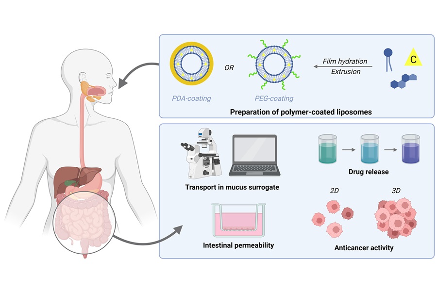 José das Neves (@j_dasneves) on Twitter photo Glad to share our collaboration original paper on the advantageous features of polydopamine-coated #liposomes for localized treatment of #colorectalcancer. Great work led by former visiting PhD student Anna Maurelli (<a href="/unibait/">Uniba.it Aldo Moro</a>) at <a href="/i3S_UPorto/">i3S-Instituto de Investigação e Inovação em Saúde</a>. pubs.rsc.org/en/content/art… Glad to share our collaboration original paper on the advantageous features of polydopamine-coated #liposomes for localized treatment of #colorectalcancer. Great work led by former visiting PhD student Anna Maurelli (<a href="/unibait/">Uniba.it Aldo Moro</a>) at <a href="/i3S_UPorto/">i3S-Instituto de Investigação e Inovação em Saúde</a>. pubs.rsc.org/en/content/art…