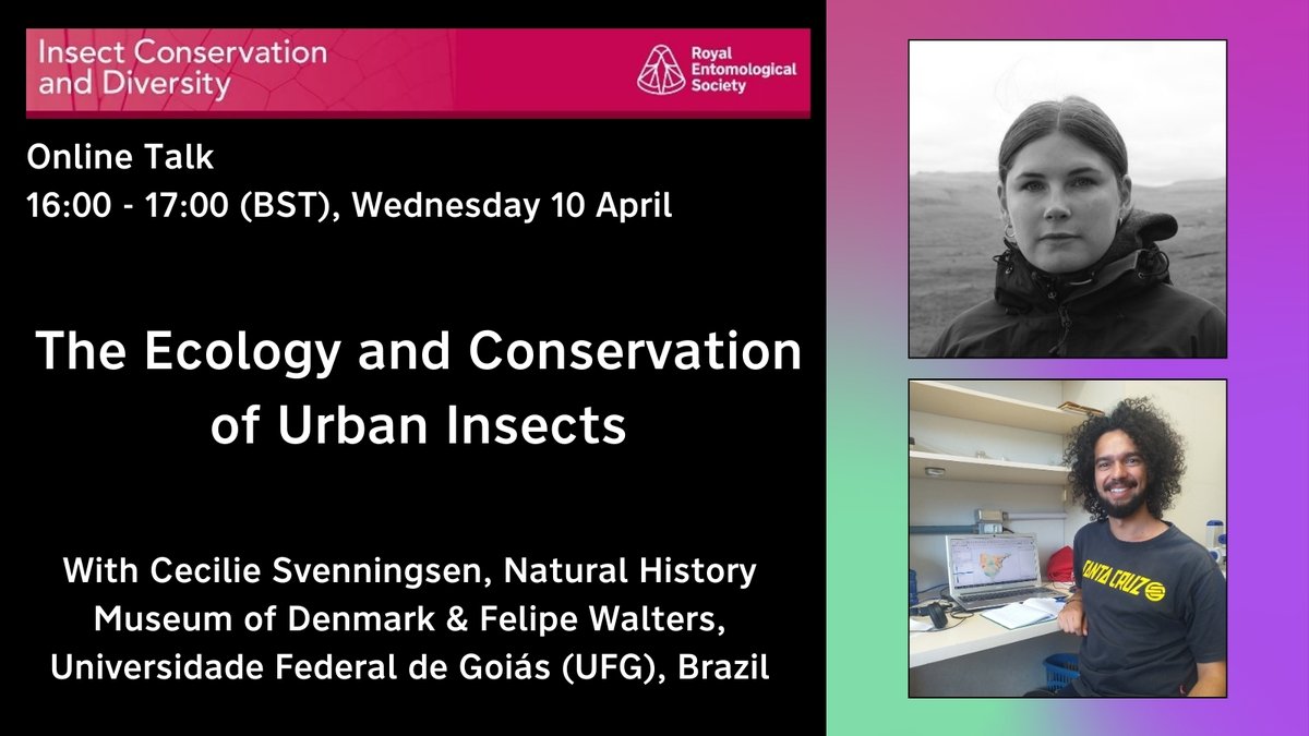 The @RoyEntSoc online talk series is back! Join us on Wednesday 10 April for a session that will highlight some research from our recent Special Issue on 'The Ecology and Conservation of #UrbanInsects'! Free for RES members, register now: royensoc.co.uk/events/online-…