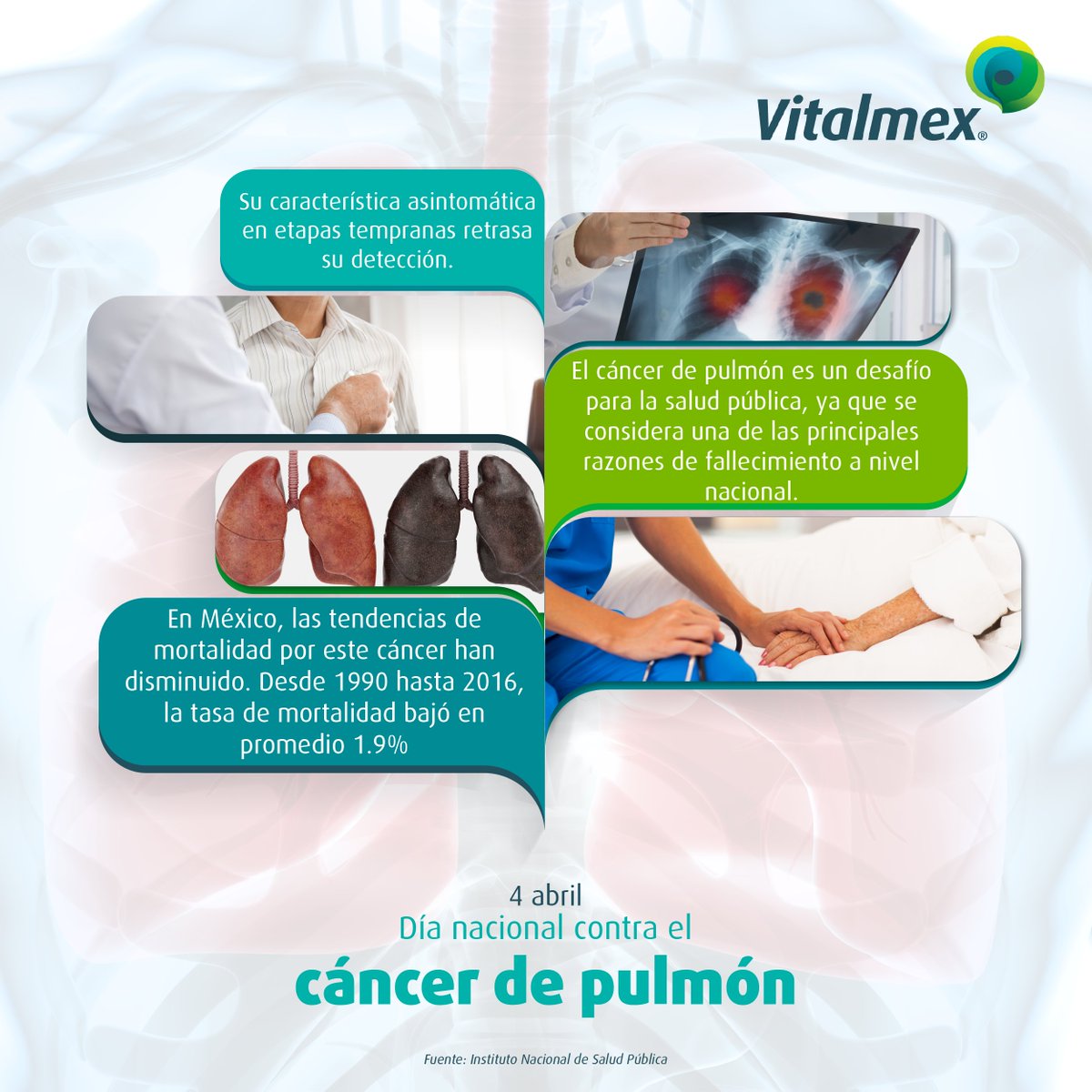 Vitalmex's tweet photo. Hoy conmemoramos el Día Nacional contra el Cáncer de Pulmón, un momento para recordar la importancia de la prevención y detección temprana de esta enfermedad. 

¡Juntos podemos crear conciencia y salvar vidas! 
#DiaNacionalcontraelCancerdePulmon https://t.co/gBlr3qSfyj