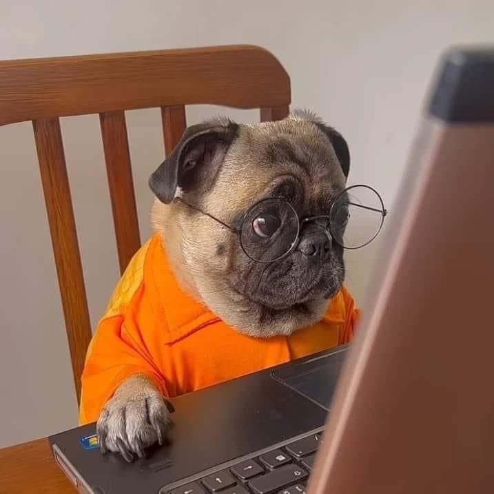 Emperor.SOL tweet media