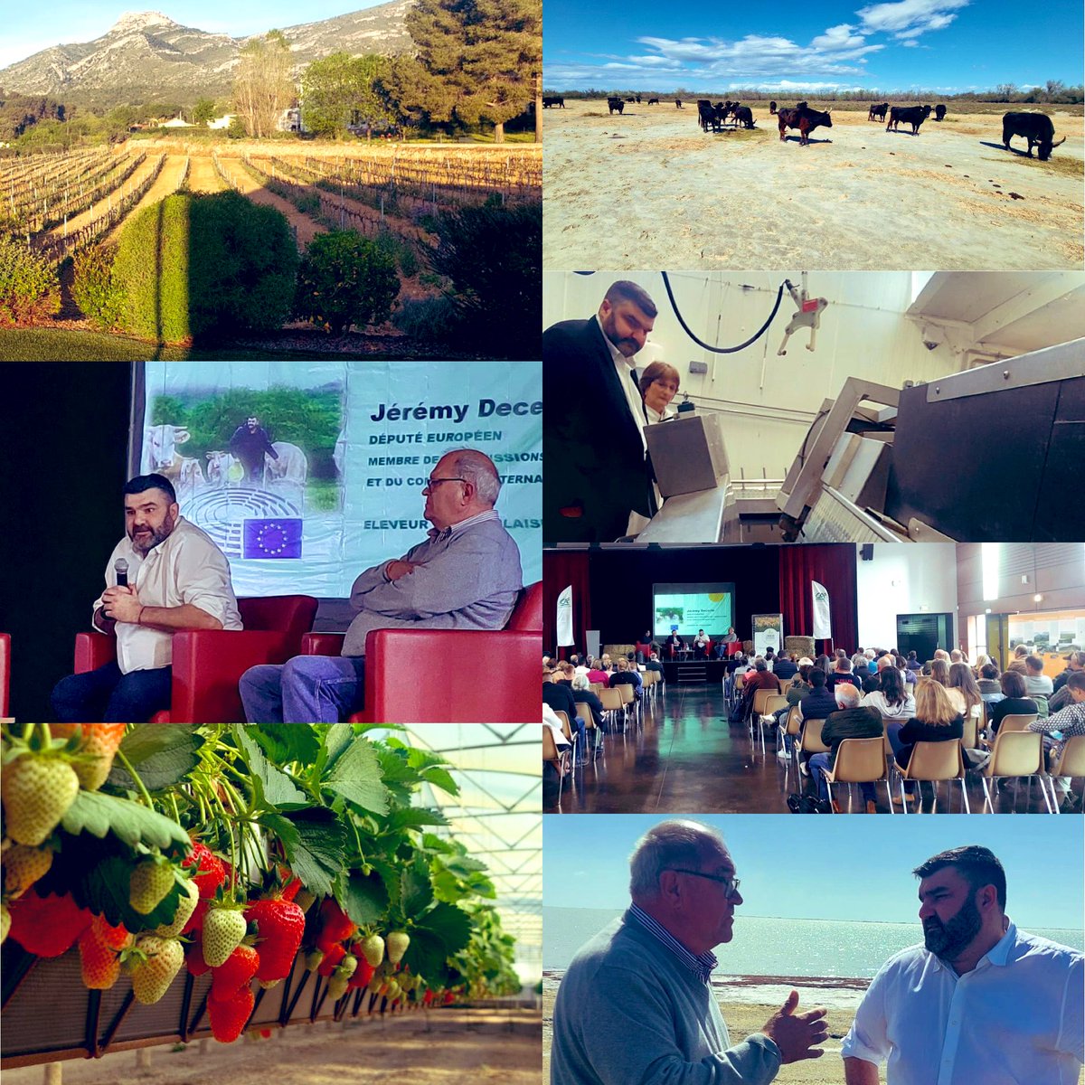 Un merci appuyé à la Chambre d’Agriculture des Bouches-du-Rhônes pour cette séquence agricole très complète. Un département riche de productions multiples&spécifiques et d’acteurs engagés. L’occasion d’évoquer la crise agricole. Sur le terrain, les décisions politiques, les…