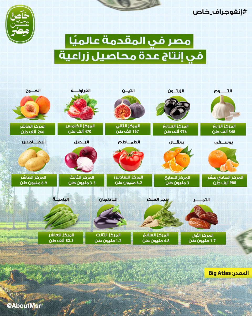 Esll7970Gladii's tweet photo. "مصر في المقدمة عالميًا في إنتاج عدة محاصيل زراعية" ..

- رُغم محدودية موارد #مصر 🇪🇬من المياه العذبة ورغم أن الرقعة الزراعية بمصر 10 مليون فدان تمثل فقط 4% من إجمالي المساحة الإ أن ذلك لم يمنع مصر من أن تتصدر المرتبة الثانية بقائمة أكبر الاقتصادات الزراعية في أفريقيا بقيمة إنتاج سنوية تبلغ 27.1 مليار دولار.
كما أن مصر تحتل مراتب متقدمة على المستوى العالمي في إنتاج العديد من المحاصيل الزراعية على رأسها ؛
-“الثوم” حيث تنتج مصر 348 ألف طن سنويًا وهو ما يضعها بالمركز الرابع عالميًا.
-“الزيتون” وتنتج مصر 976 ألف طن سنويًا | المركز السابع عالميًا بعد الصين والهند وكوريا الجنوبية.
-“التين” وتنتج مصر 167 ألف طن سنويًا | المركز الثاني عالميًا بعد تركيا.
-“الفراولة” وتنتج مصر 470 ألف طن سنويًا | المركز الخامس عالميًا بعد الصين والولايات المتحدة وتركيا والمكسيك.
-“الخوخ” وتنتج مصر 266 ألف طن سنويًا | المركز العاشر عالميًا.
-“اليوسفي” وتنتج مصر 988 ألف طن سنويًا | المركز الحادي عشر عالميًا.
-“البرتقال” وتنتج مصر 3 مليون طن سنويًا | المركز السابع عالميًا.
-“الطماطم” وتنتج مصر 6.2 مليون طن سنويًا | المركز السادس عالميًا.
-“البصل” وتنتج مصر 3.3 مليون طن سنويًا | المركز الثالث عالميًا.
-“البطاطس” وتنتج مصر 6.9 مليون طن سنويًا | المركز العاشر عالميًا.
-“التمر” وتنتج مصر 1.7 مليون طن سنويًا | المركز الأول عالميًا.
-“بنجر السكر” وتنتج مصر 4.8 مليون طن سنويًا | المركز السابع عالميًا.
-“الباذنجان” وتنتج مصر 1.2 مليون طن سنويًا | المركز الثالث عالميًا.
-“البامية” وتنتج مصر 82.3 ألف طن سنويًا | المركز العاشر عالميًا ..
#تحيا_مصر ✌️🇪🇬