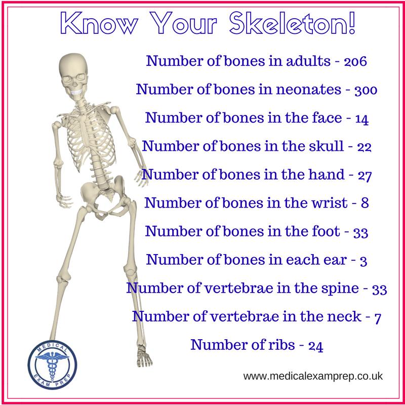 Do you know your skeleton? #MedSchool #Anatomy #FOAMed #MedEd