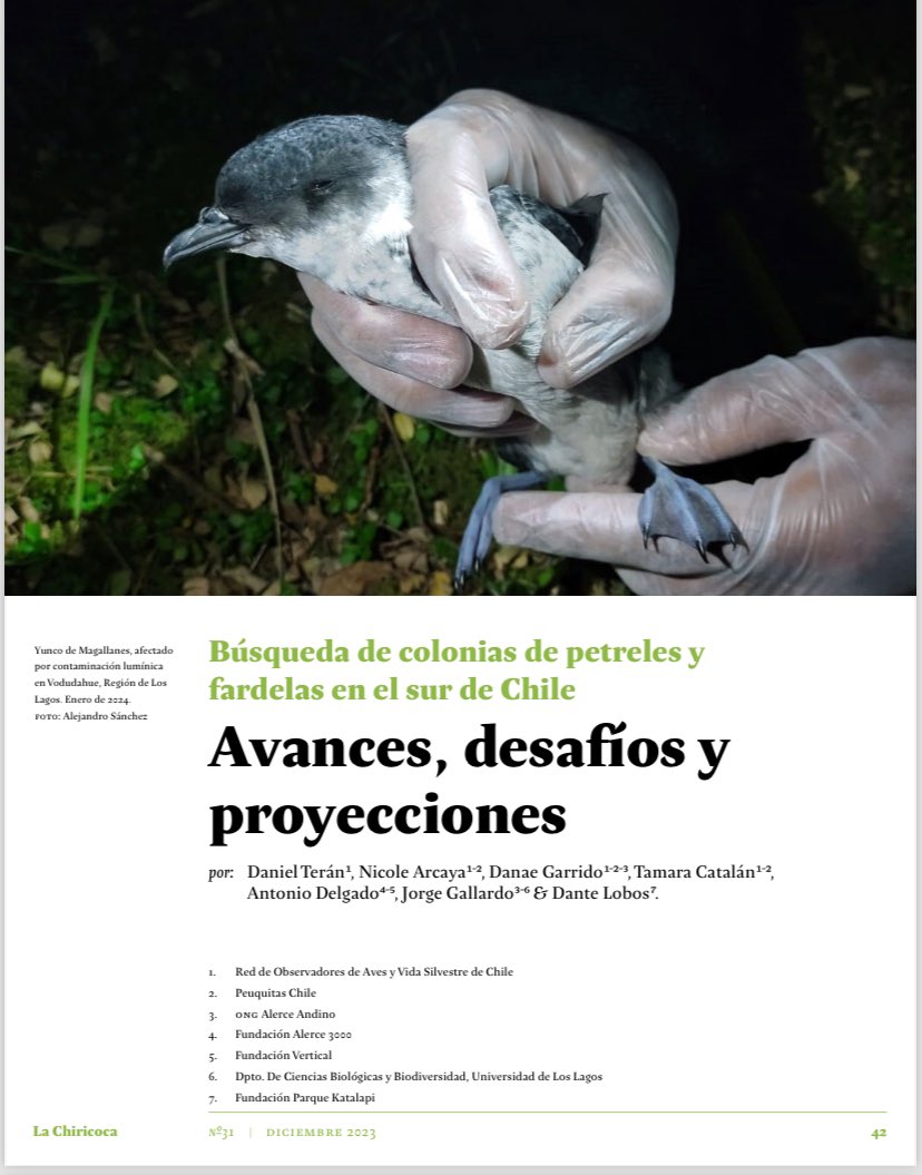 dlobos18's tweet image. Muy feliz de poder compartir experiencias y haber podido levantar datos sobre especíes  crípticas en zonas prístinas del Fiordo Comau, Los Lagos, Chile.