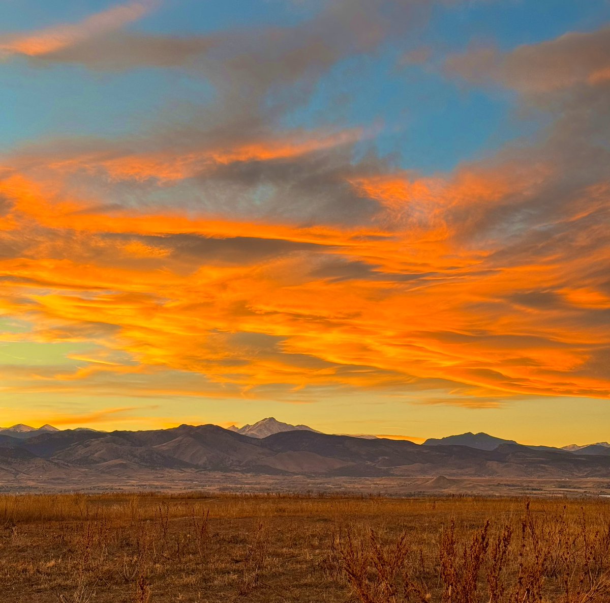 D Miller tweet media