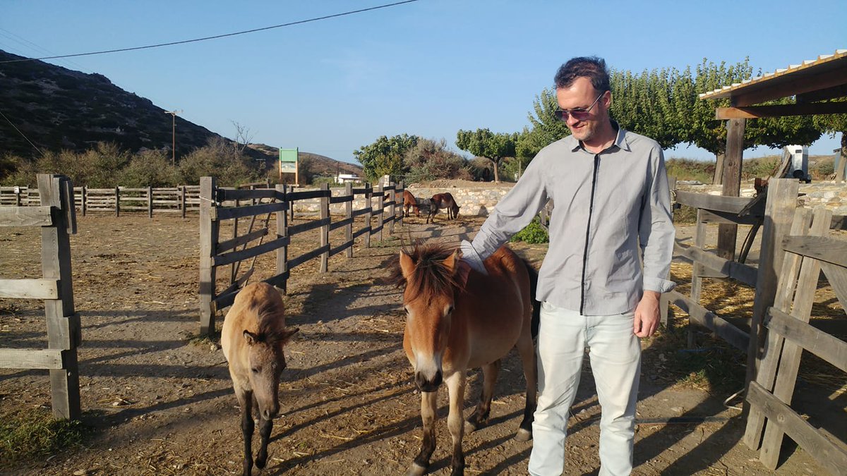 It was a pleasure to participate on this paper on the small insular horses of Skyros and Rhodes Islands, for the purposes of which we traveled several times to these beautiful Greek islands. Paper is in open access: link.springer.com/article/10.100…