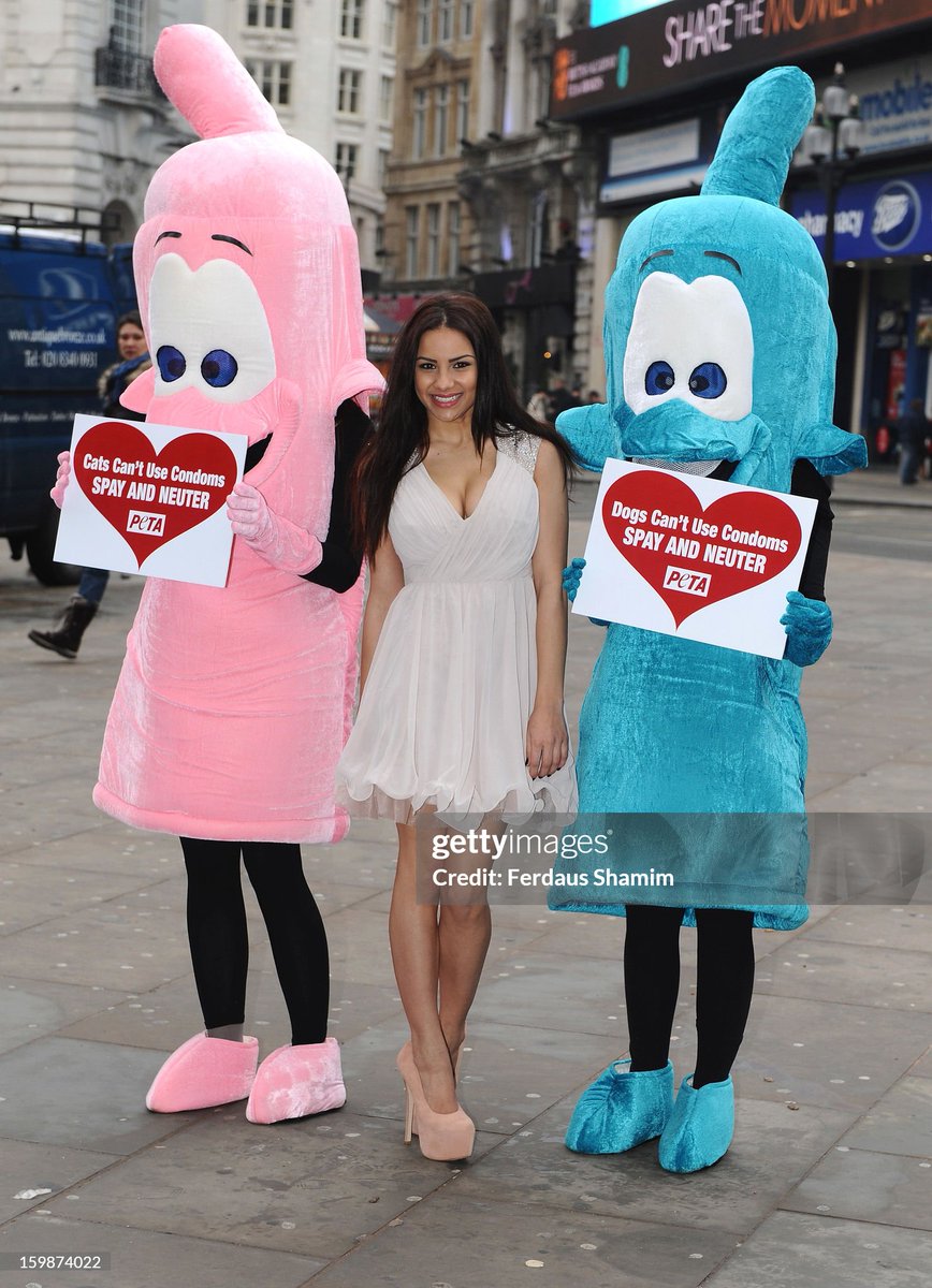 Lacey Banghard attends a photocall for PETA to encourage pet owners to have their cats and dogs sterilised at Picadilly Circus in London, England (2013)