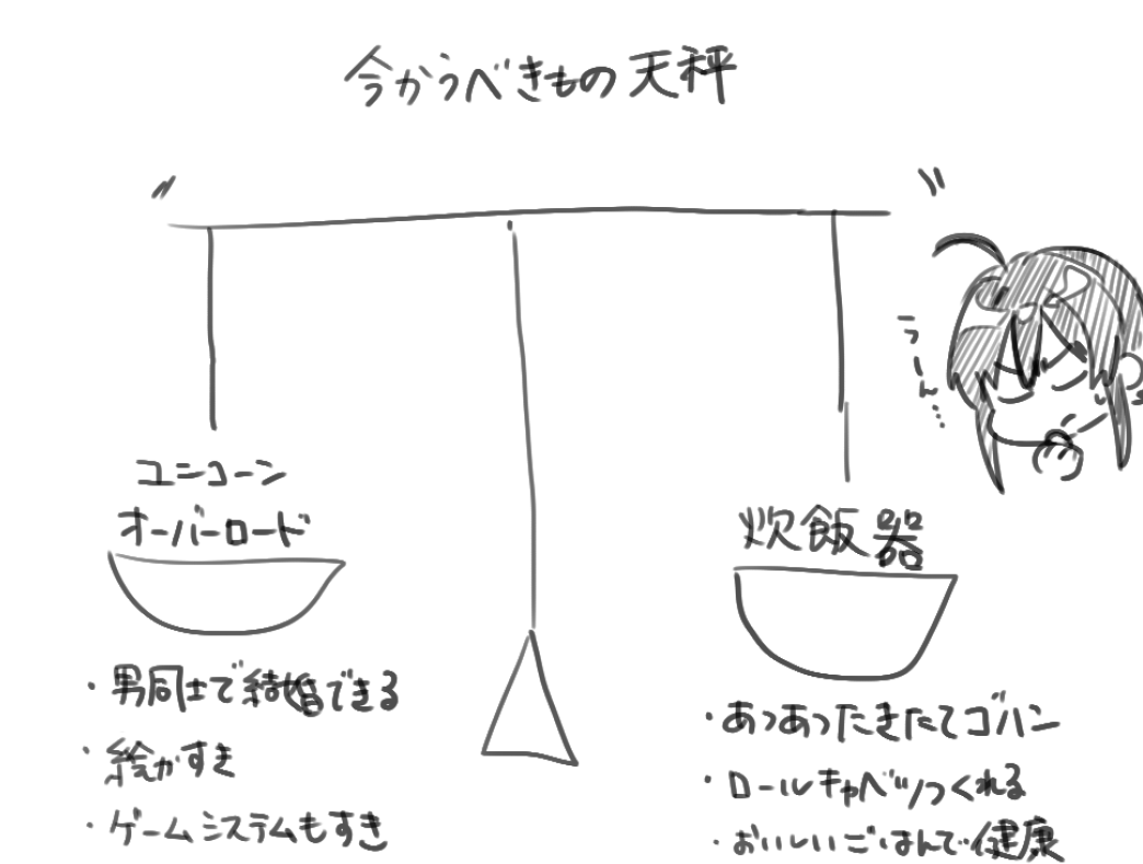 どっち買うか迷ってます 