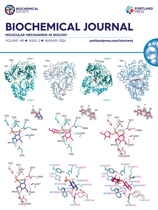 Read the Biochemical Journal’s second issue of the year here! 👇 Explore a review on cellular signalling while reading the latest research on structural biology. ow.ly/eORi50R7zrY