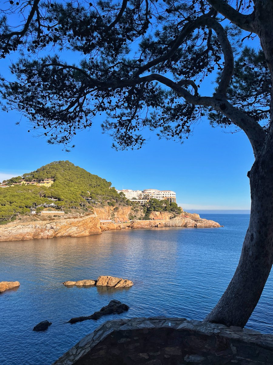 📸 Postcard viewpoint!

📍 Camí de ronda d'Aiguafreda a Sa Tuna

#begur #beguresautentic #visitbegur #visitemporda #incostabrava #viueldoble #livetwice #CostaBrava #catalunyaexperience #ilovecostabrava #vilesmarineres #vilesflorides #empordaturisme #queboniceslemporda