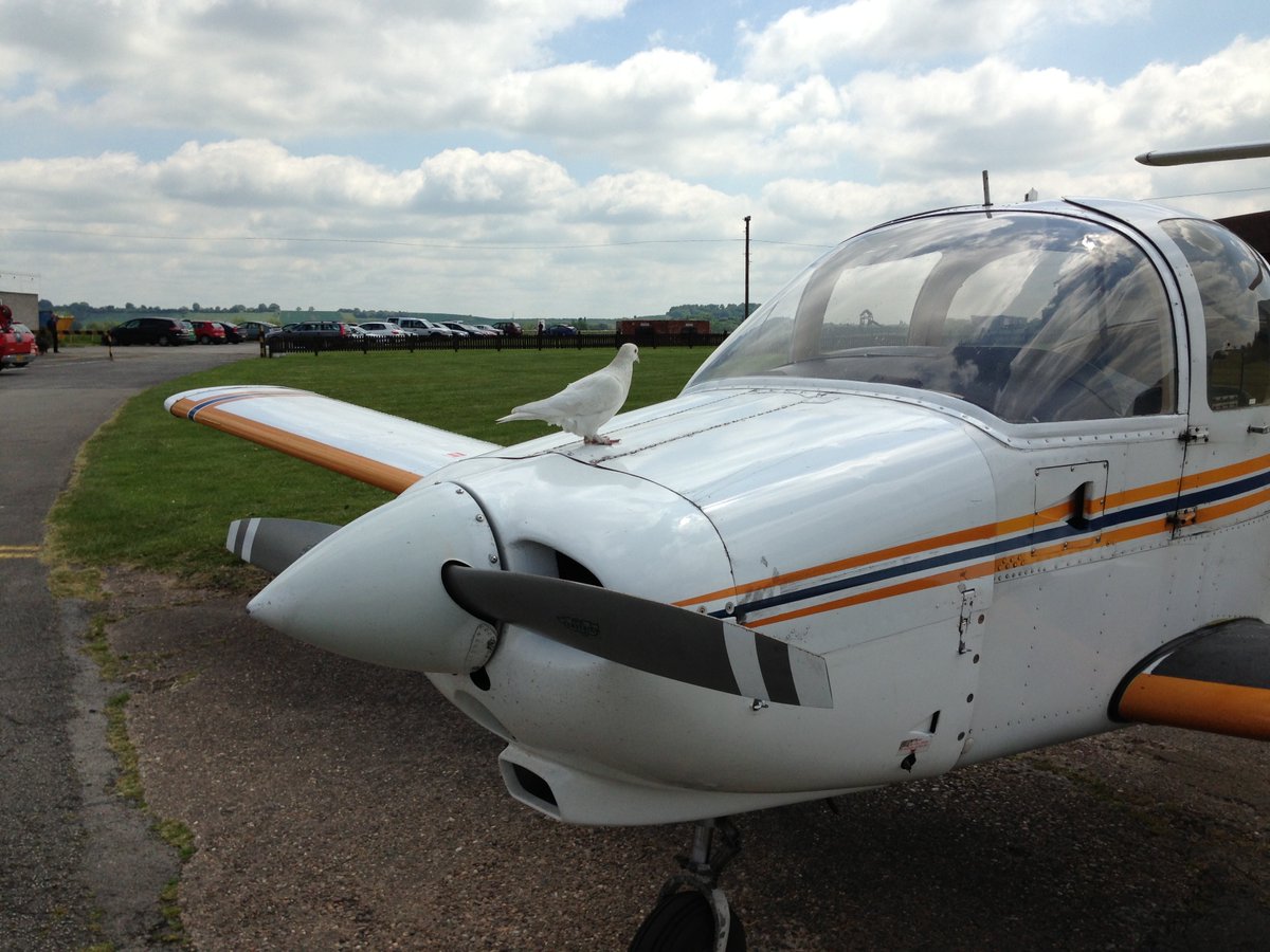 Alan Smyth (@alanrsmyth) on Twitter photo Tollerton airfield threatened with closure! No more kids watching the planes on sunny Summer days! Planning permission requested for 400 dwellings with another 1000 on the way! Click here to object:
planningon-line.rushcliffe.gov.uk/online-applica…
@SteveTu96826011 <a href="/KrysSzpakowska2/">Krys Szpakowska</a> Tollerton airfield threatened with closure! No more kids watching the planes on sunny Summer days! Planning permission requested for 400 dwellings with another 1000 on the way! Click here to object:
planningon-line.rushcliffe.gov.uk/online-applica…
@SteveTu96826011 <a href="/KrysSzpakowska2/">Krys Szpakowska</a>