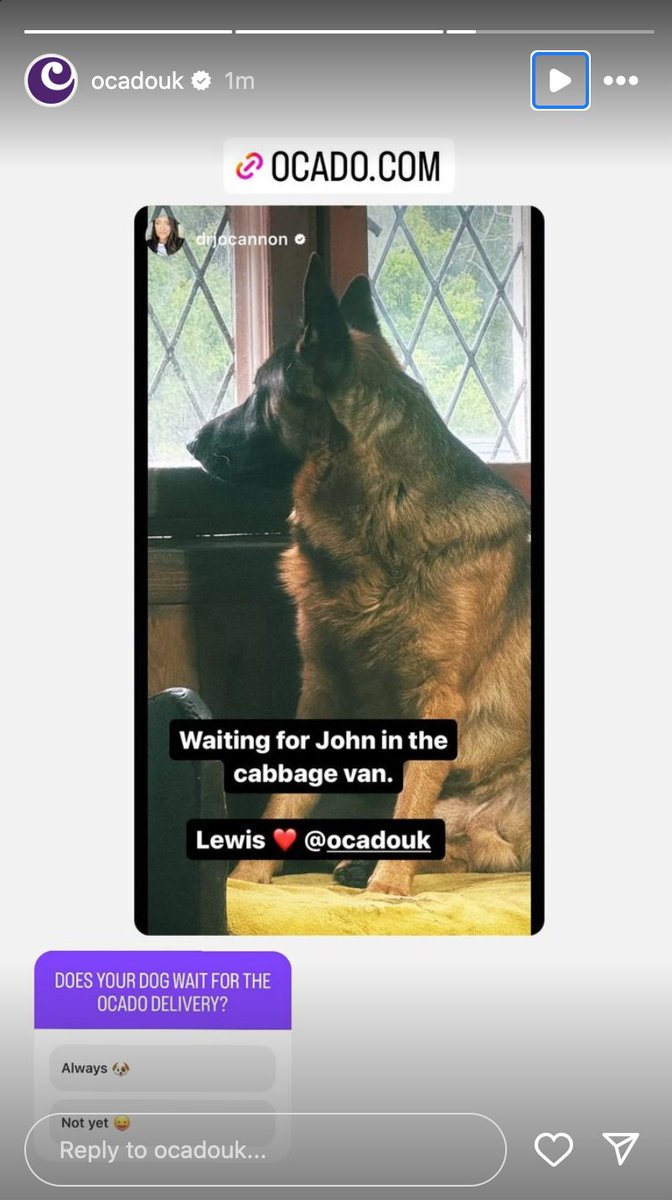 Lewis made it onto Ocado's Insta Stories 🤣🤣🤣🤣🤣 I love this!