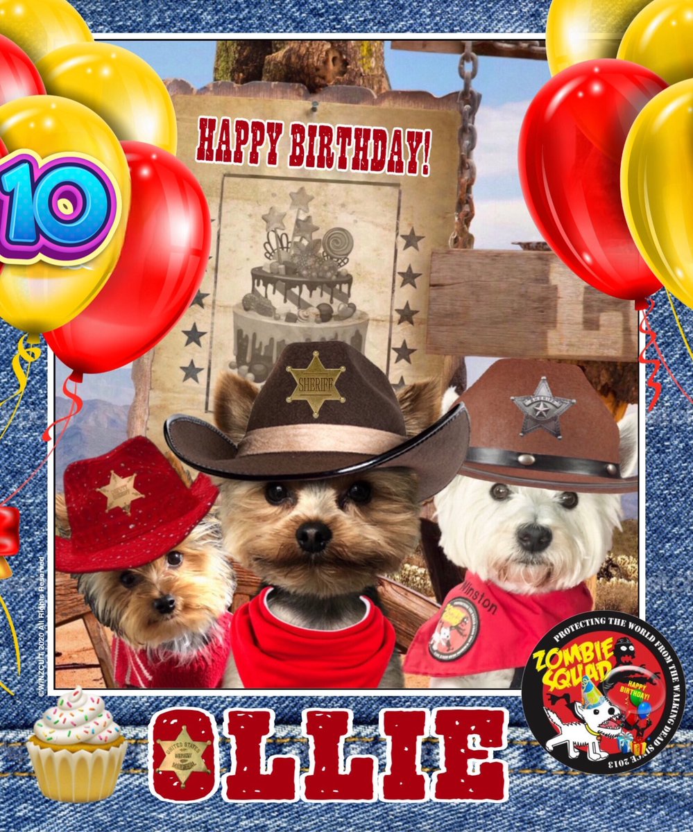 🎂Wishing a very 🎁HAPPY 10th BIRTHDAY🎉 to our pawsome pal, OLLIE (aka OLLS) from Leada Lord Billy and your ZombieSquad pals.🎈 We hope your special day is full of tasty treats, belly rubs & cayke, soldyer. RaaAAA!! ❤️💛🎂🎁🎈🎉 @parsleysmum @ZSBirthday #ZSHQ
