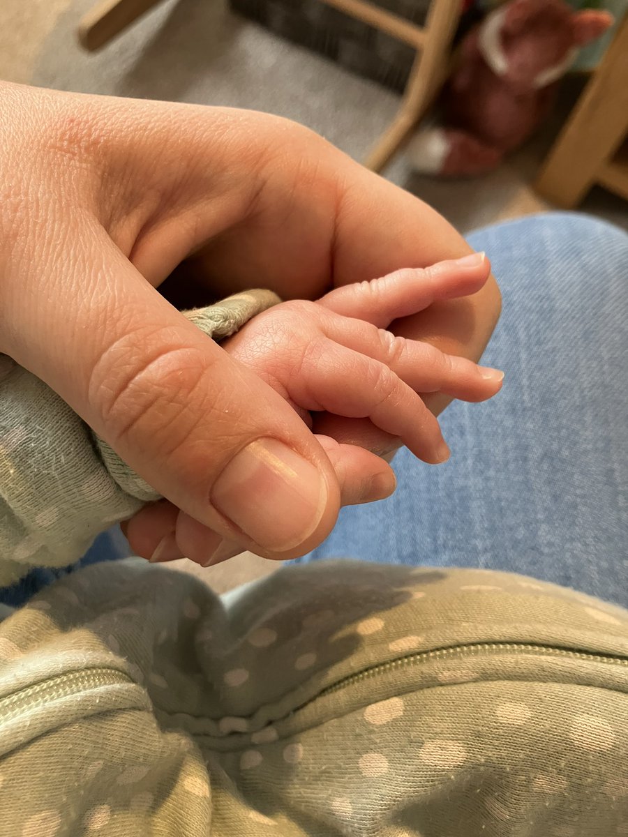 bethanmead's tweet image. Sad to be missing #BFDG2024 and catching up with everyone, but I think this little sleep-thief would have something to say about it. Next year! I’m enjoying following along with everyone’s posts though.